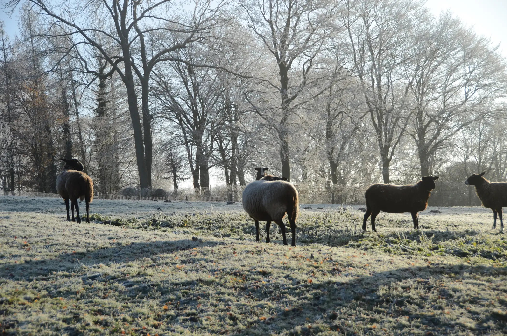 Cottage for 2 people in Gesves Les Cabanes des Pierreux : Ralf